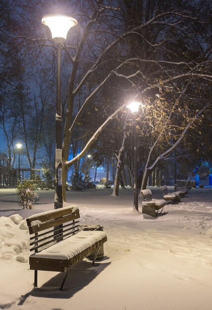 Winter night landscape bench under trees and shining street lights falling snowflakes