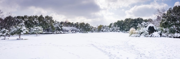 Winter park snow scene