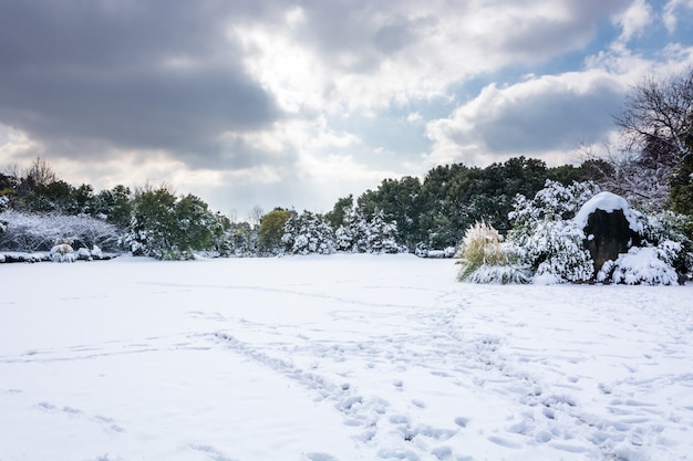 Winter park snow scene