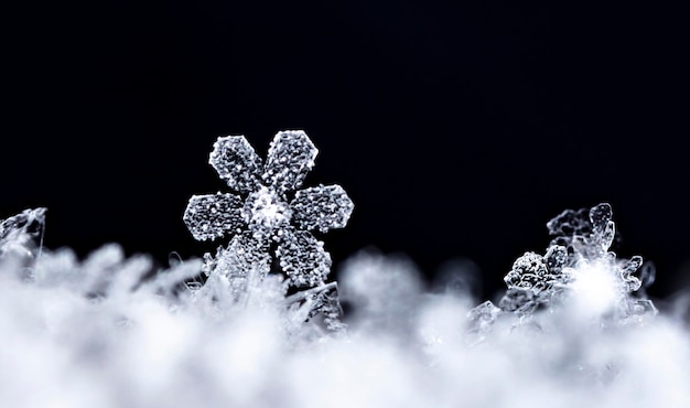 winter photo of snowflakes in the snow