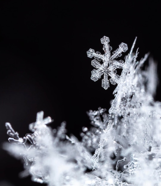 winter photo of snowflakes in the snow