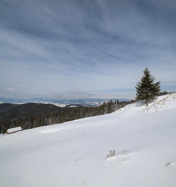 Winter remote alpine mountain village outskirts countryside hills groves and farmlands