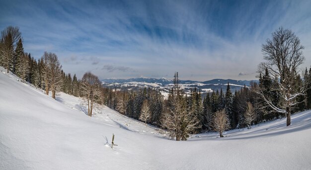 Winter remote alpine mountain village outskirts countryside hills groves and farmlands