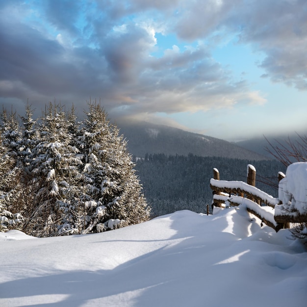 Photo winter remote alpine mountain village outskirts countryside hills groves and farmlands