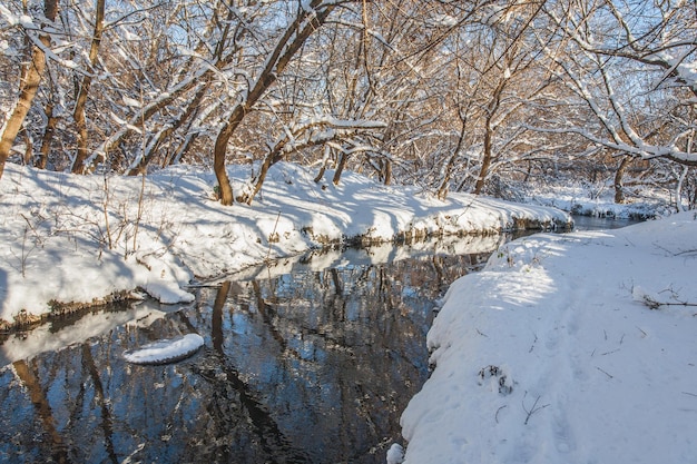 Winter river and trees in season