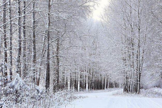 winter road abstract landscape, seasonal path december snow