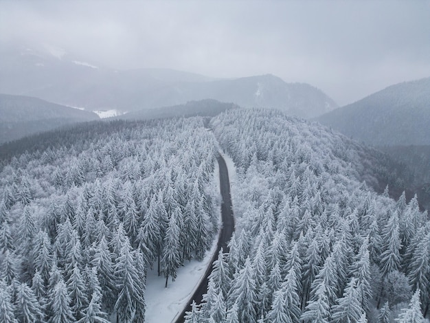 Winter road in the forest in the mountains