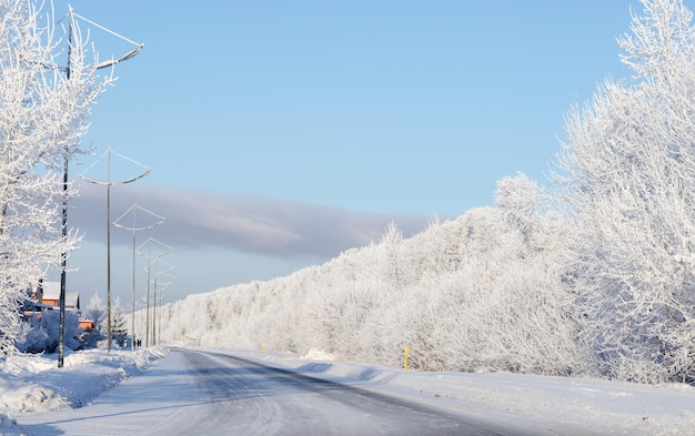 A winter road running through a dense forest with frostcovered trees on a clear sunny frosty day