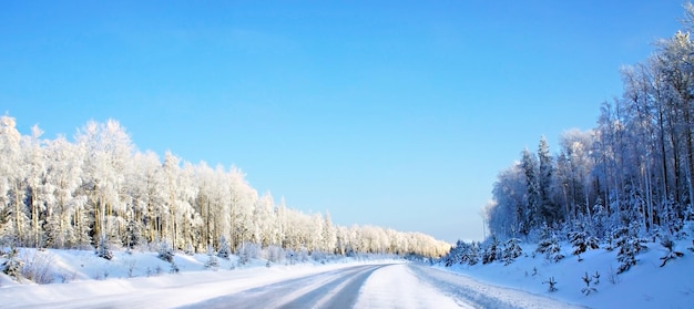 Winter road and snow-covered forest and trees in hoarfrost along roadsides blue sky frosty season