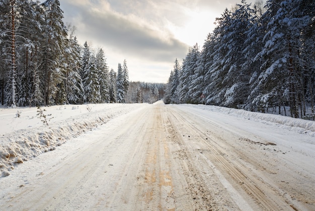 Winter road in snowy frosty forest landscape