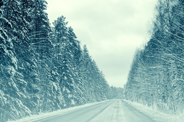 Winter road through the forest