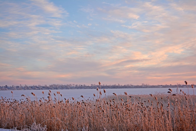 Winter rural landscape. Lake in winter.