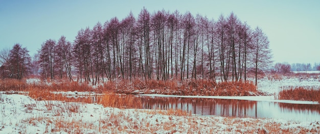 Winter rural landscape with brook First snow in the field Winter nature Nature background Horizontal banner