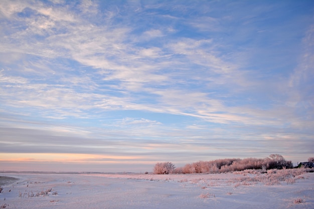 Winter rural landscape