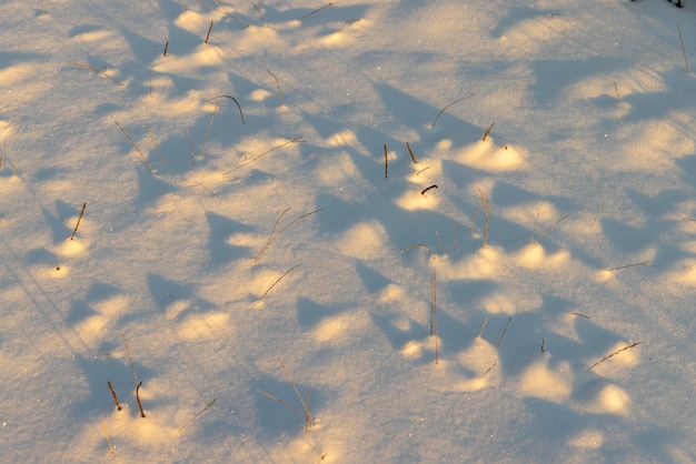 Winter season with snowdrifts after snowfall fresh and clean snow in nature in the winter season