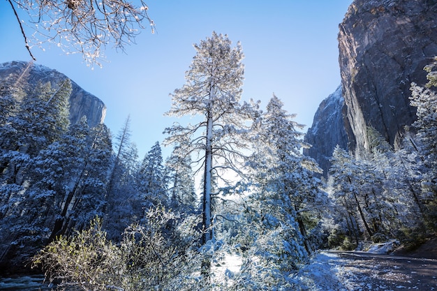 Winter season in Yosemite National Park, California, USA