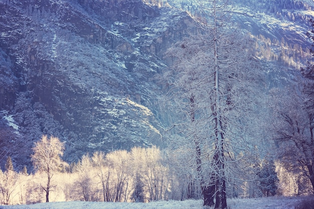 Winter season in Yosemite National Park, California, USA