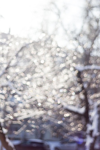 Photo winter snow blurred background in city park, snowfall in forest, tree branches and bushes covered with snow, abstract snowflakes in blur.