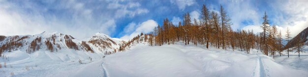 Photo winter snow panorama on cloudy sky background