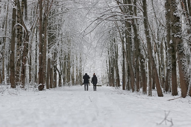 Winter snow sport man run in tree park