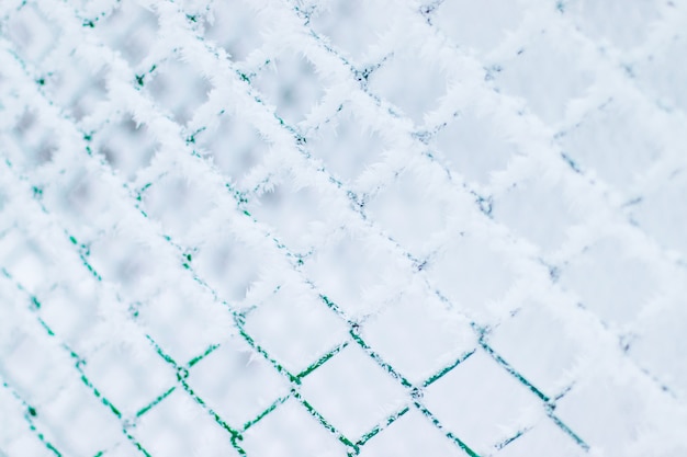 Winter snow texture background made of metal mesh covered with snow hoarfrost. Frozen fence