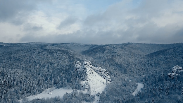 Photo winter snow trees. aerial view fly over. tustan