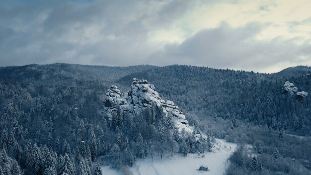 Winter snow trees. aerial view fly over. tustan