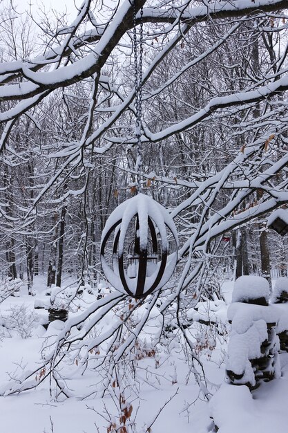 Winter snowfall in the garden.