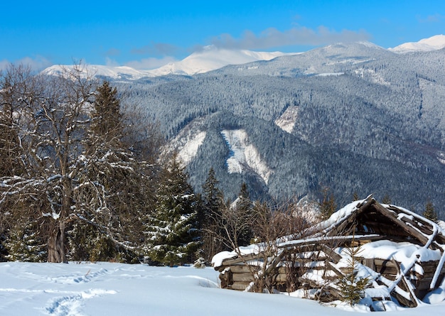 Winter snowy Carpathian mountains and old ruined wooden shed Ukraine