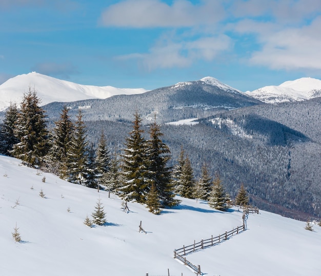 Winter snowy Carpathian mountains Ukraine