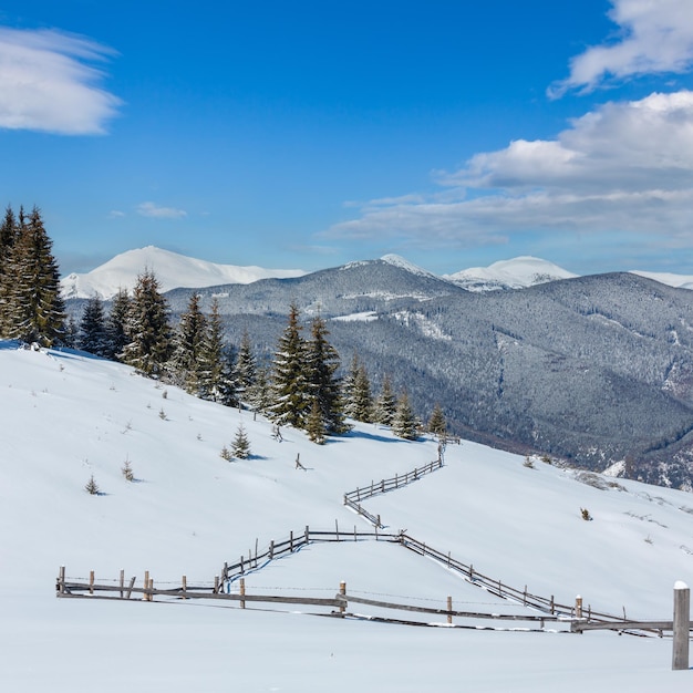 Winter snowy Carpathian mountains Ukraine