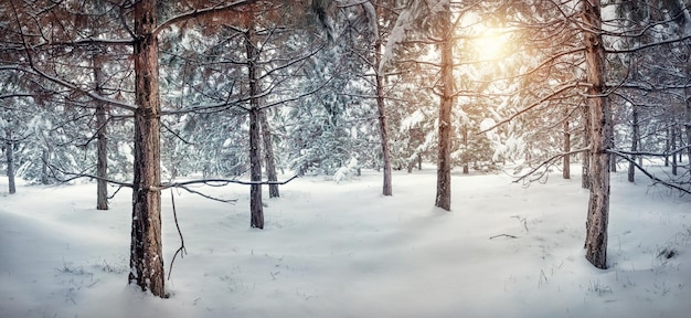 Winter snowy forest