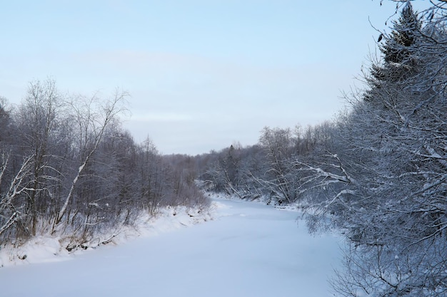 Winter snowy frosty landscape The forest is covered with snow Frost and fog in the park