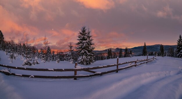 Winter snowy hills tracks on rural dirt road and trees in last evening sunset sun light Small and quiet alpine village outskirts