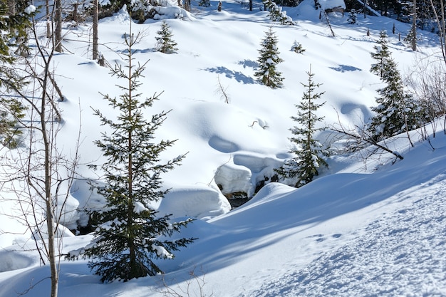 Winter snowy mountain hill with snowdrifts and small fir trees.