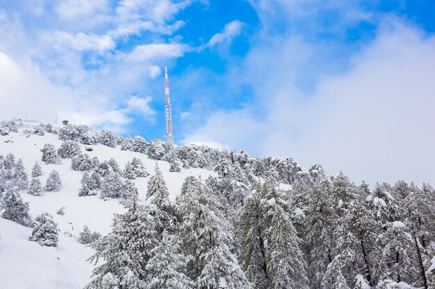 Winter snowy mountains