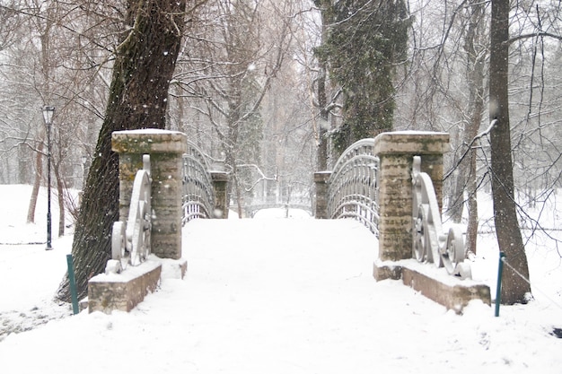 Winter snowy Park-like landscape. Winter landscape. Heavy snowfall in the Park . First snow.