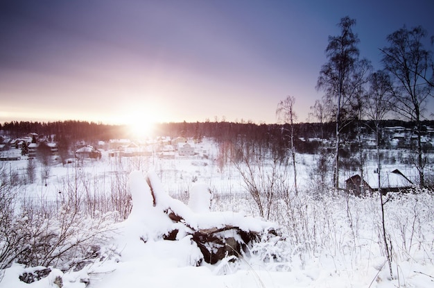 Winter sunny sunrise landscape with trees and small swedish town, north scandinavian seasonal hipster background.