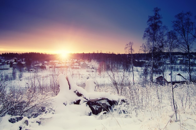 Winter sunny sunrise landscape with trees and small swedish town north scandinavian seasonal hipster background