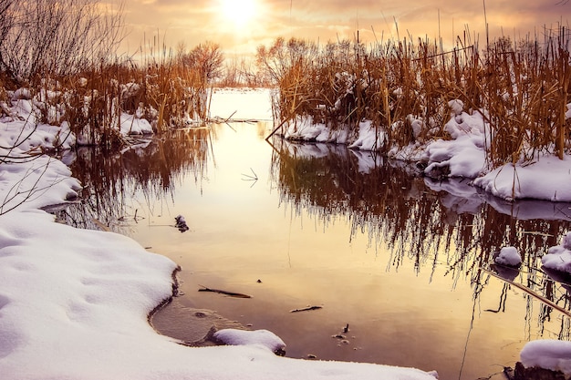 Winter sunset on the river, winter landscape with river and reeds