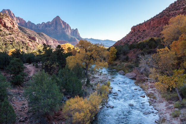 Winter Sunshine along the Virgin River Valley