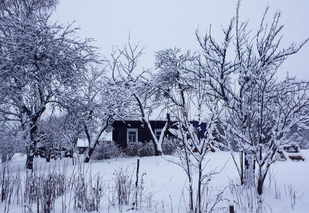 Winter time and snow space