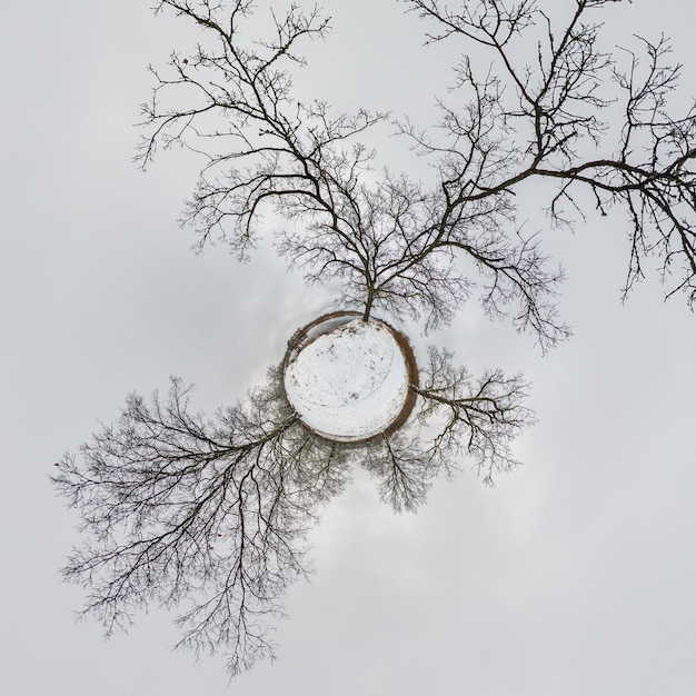 Winter tiny planet transformation of spherical panorama 360 degrees Spherical abstract aerial view in oak forest with clumsy branches with snow Curvature of space