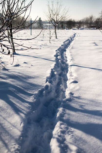 Photo winter trail in snow