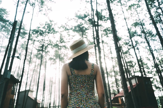 Winter travel relax vacation concept, Young happy traveler asian woman sightseeing in pine tree garden at Doi Bo Luang Forest Park, Chiang Mai, Thailand