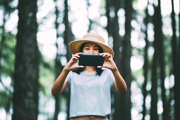 Winter travel relax vacation concept, Young happy traveler asian woman with mobile phone sightseeing in pine tree forest at Suan Son bo Kaeo Park, Chiang Mai, Thailand