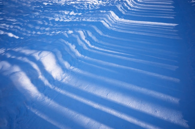 Winter tree shadows on white snow backdrop