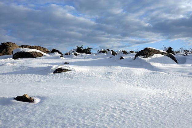 Winter tundra landscape with hilly snowy surface with stones and large boulders and long shadows