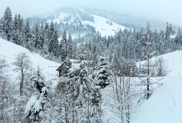 Winter Ukrainian Carpathian Mountains landscape