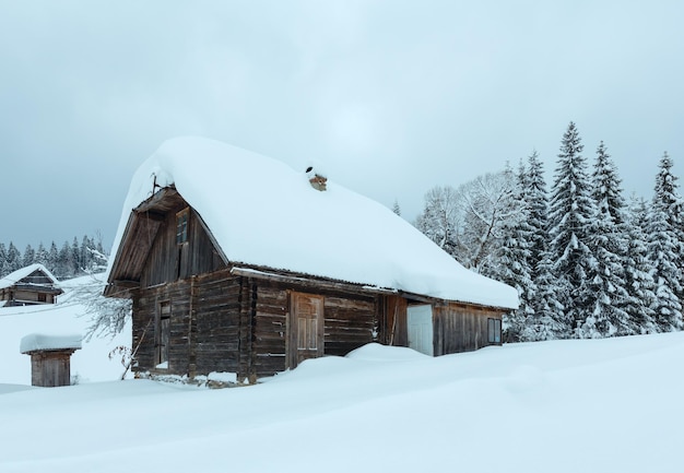 Winter Ukrainian Carpathian Mountains landscape